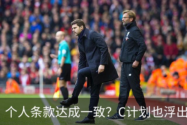 个人条款达成一致？C计划也浮出水面？